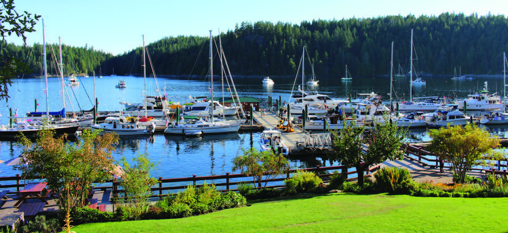 A beautiful, clean marina with plenty of moorage.