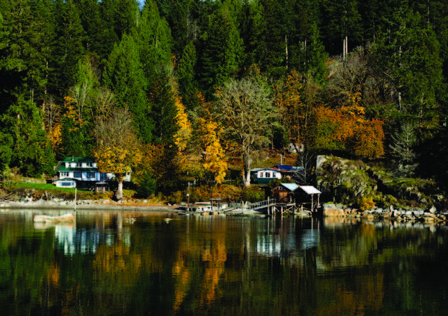 A couple of waterfront cabins nestled in the trees.