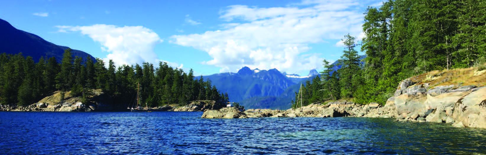 The trees meet the shoreline in this protected bay.